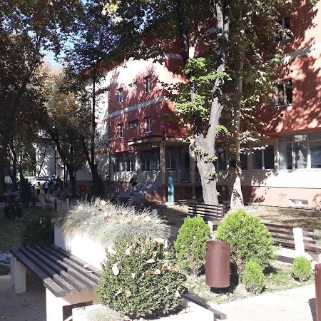 Apartman Karadjordje Belgrado Exterior foto